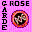 [Garde Rose] pogman